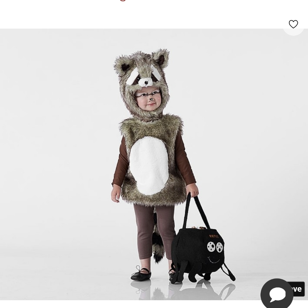 Raccoon Costume